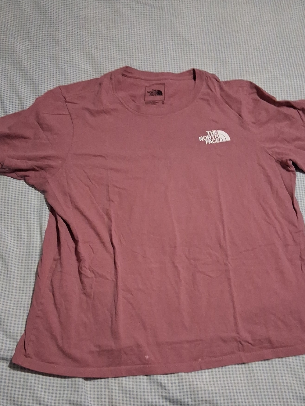 The North Face Dusty Mauve Logo Crew Tee Women